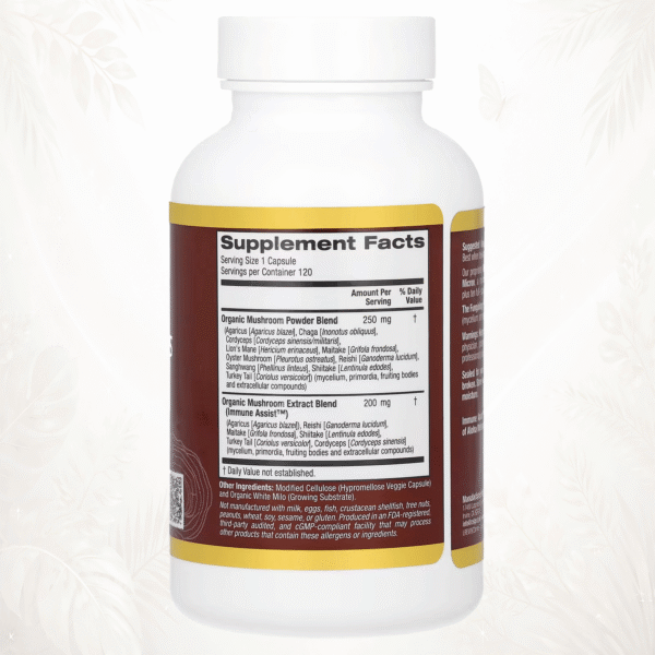 84 MushRex® Plus | Complejo Micoterapéutico Premium de 10 Hongos Orgánicos de Espectro Completo | Inmunidad, Energía & Enfoque Integral 120 cápsulas