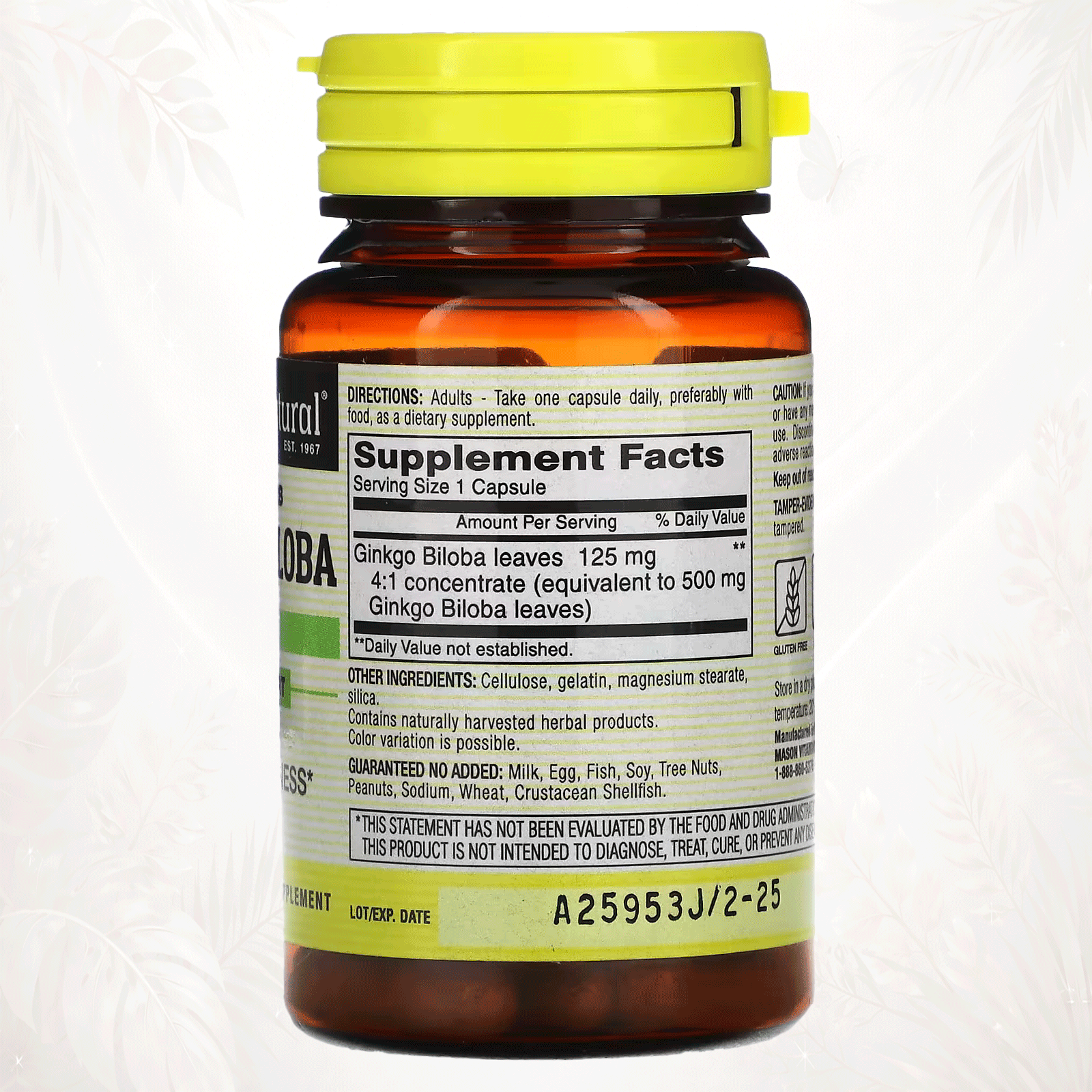 2 Mason Natural® Ginkgo biloba Hierba Entera 125 mg | Apoyo Cognitivo y Circulatorio – 60 Cápsulas